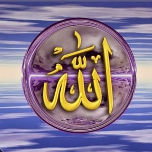 Meet your Posher, Joyce